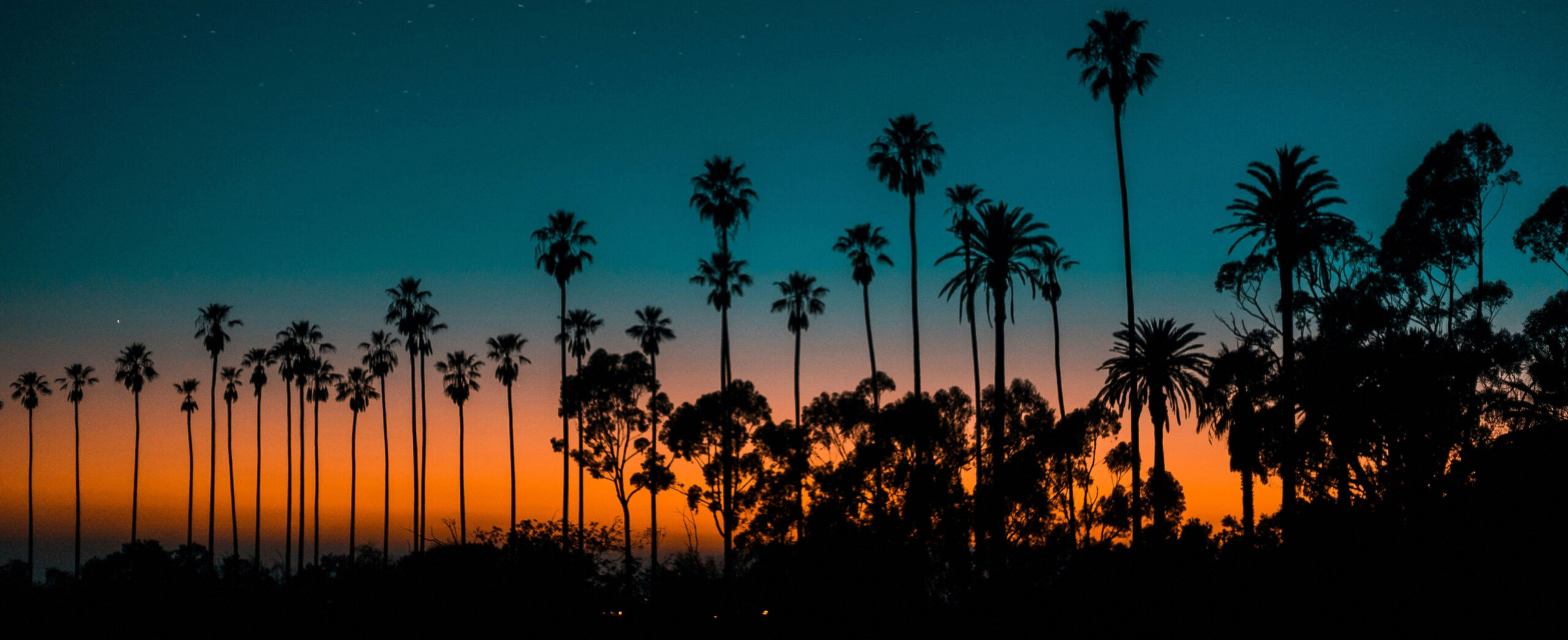Annual Polish Harvest Festival in Los Angeles